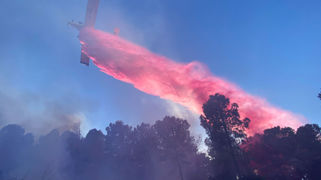 שריפה גדולה משתוללת ביער בית קשת