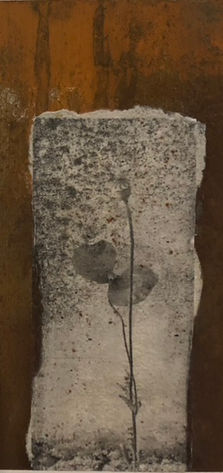 19. hg2073, Absence Presence V, papavero bianco, tecnica mista su ferro, 15x30 cm, 2023.JPEG