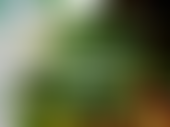 Discover Local Treasures on the Greater Pointe Coupee Chamber of Commerce Shopping Trail!