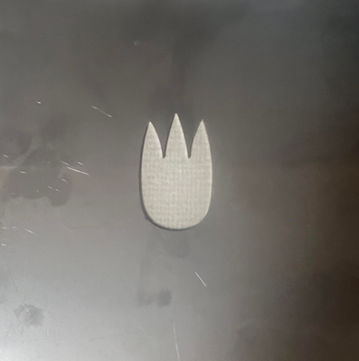 Plate 13 Tulip