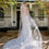 Thumbnail: 300cm Cathedral Length Classic Veil