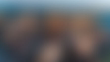 The South African Common Law