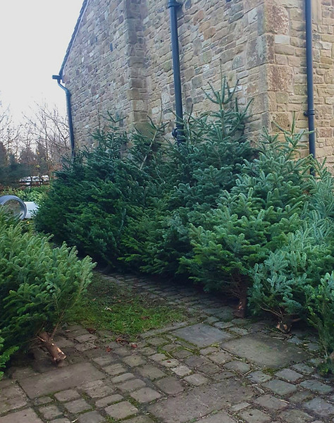 4137bd65-b6b6-40b8-a50d-f82741177bde_edi