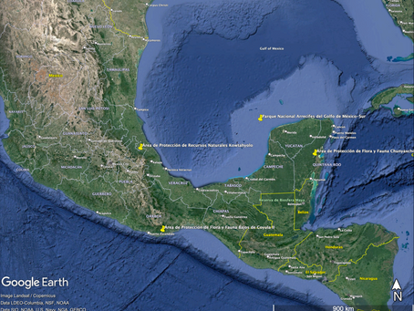 Publica SEMARNAT estudios justificativos para la declaración de 4 nuevas Áreas Naturales Protegidas