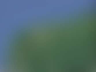 Expropia SEDATU 7.69 hectáreas de terrenos ejidales a favor del Tren Maya