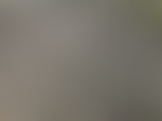 Tratamiento biológico de lodos