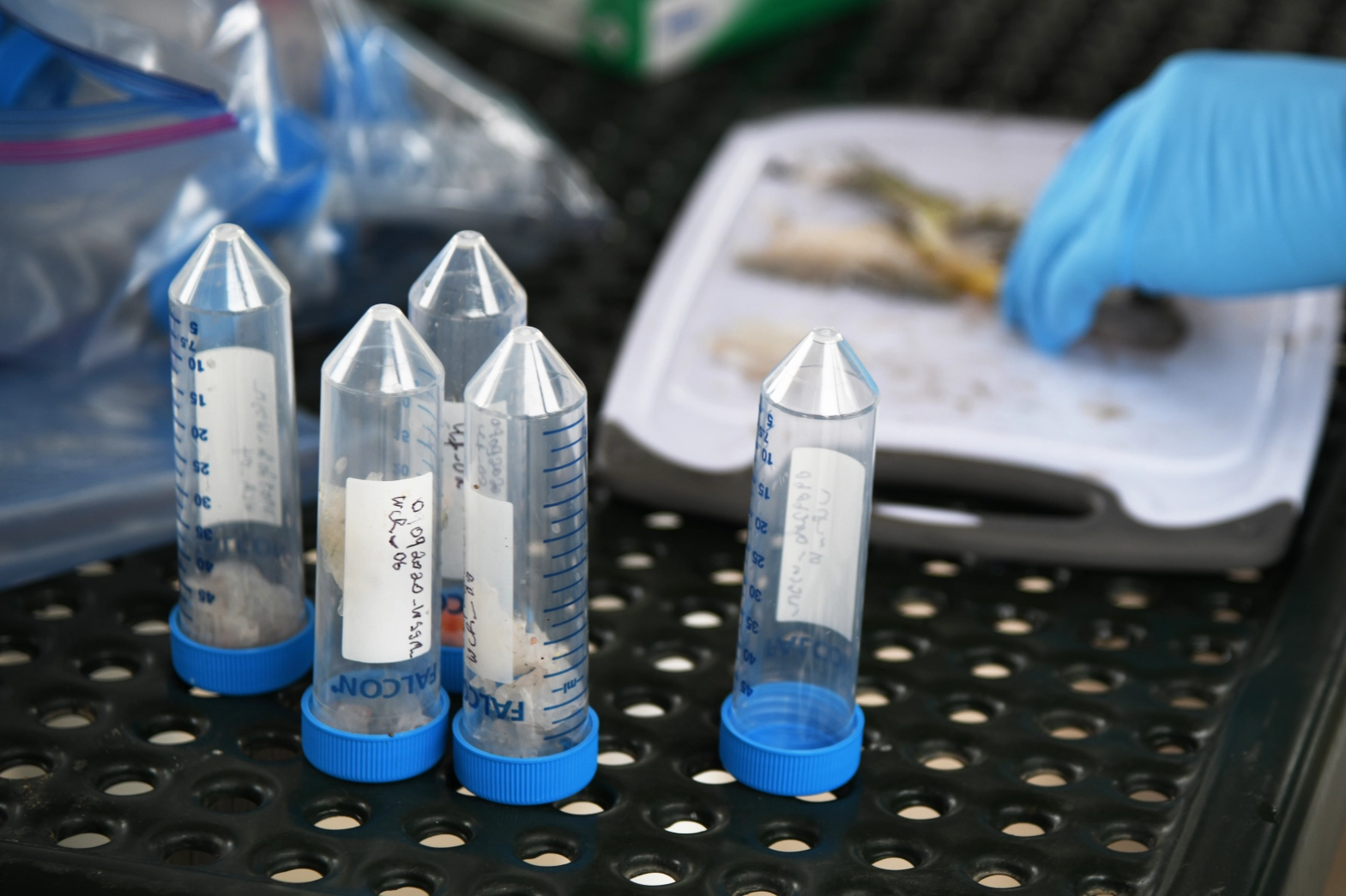 No safe level drinking water pfas.webp