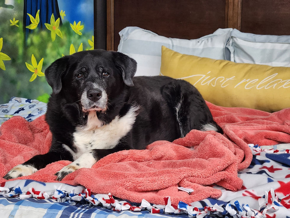 577518501_813841794733126_1666031394534973852_n