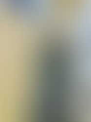 Everything I Never Wanted