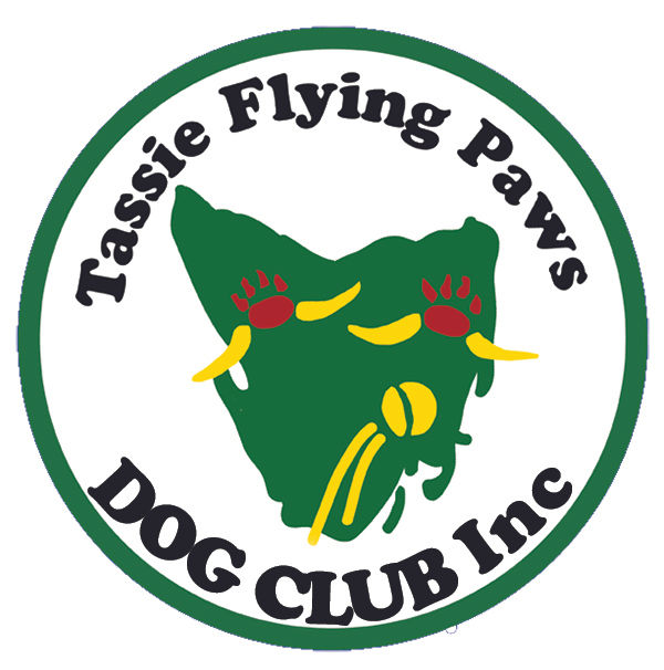 We Remember Them - Soldier and Canine Flyball Comp