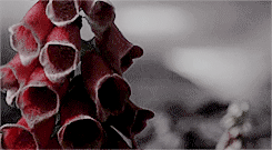 snow gif.gif