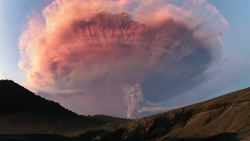 Pair image.gif