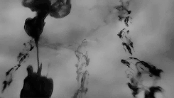 dark.gif