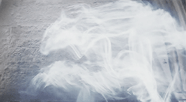 Molly Gif.gif