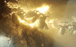 V My Gif 1.gif