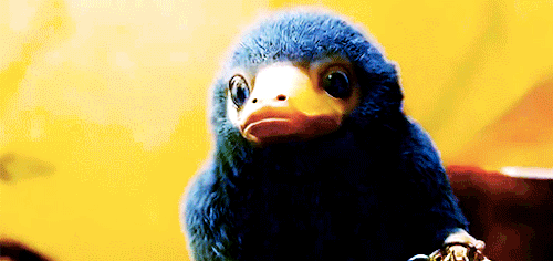 Lorcan gif.gif
