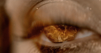 Allicanto Gif 3.gif