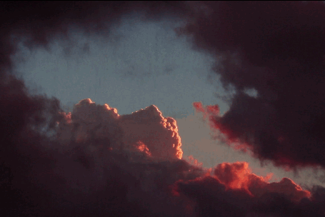 Pair image.gif