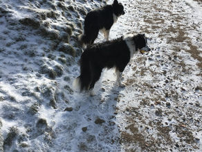 THE MALVERN TOWN EXPEDITION - Welfare,Water and Walking!