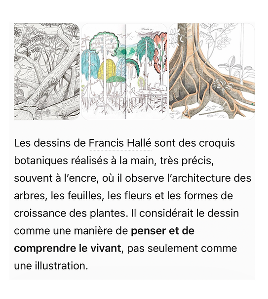 Capture d’écran 2026-09-25 à 19.22.50.png