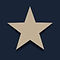 Icon_Star_Optim.jpg