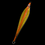 Thumbnail: Sun Kissed Butterfly Jig