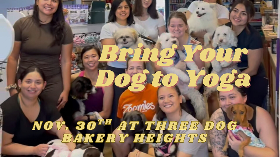 Bring Your Dog to Yoga - Three Dog Bakery Heights