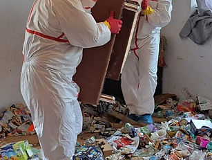 messie-entrümpelung