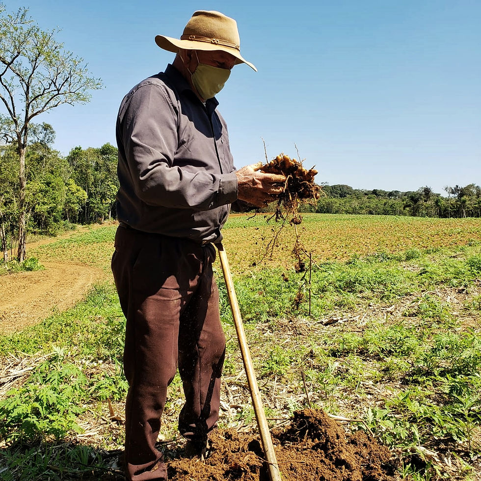 Comida de verdade vem da agricultura familiar