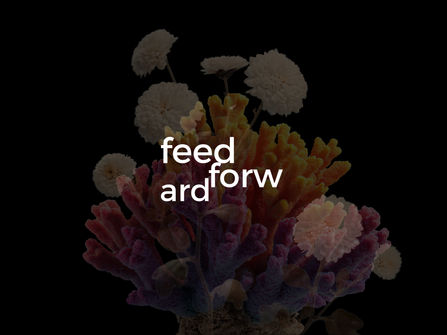 Feedforward: Curating in a Climate Crisis 2