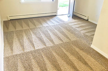 CARPET CLEANING.jpg