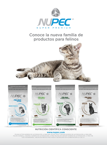 Nupec _021.png