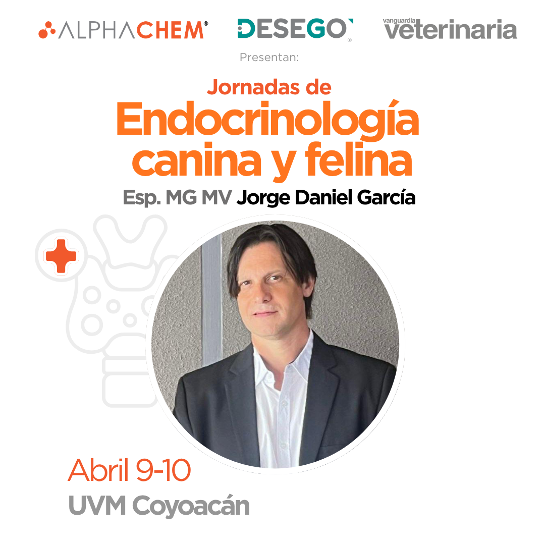 Jornadas de Endocrinología canina y felina