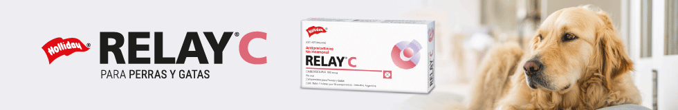 Banner-Relay-C-980x160.gif