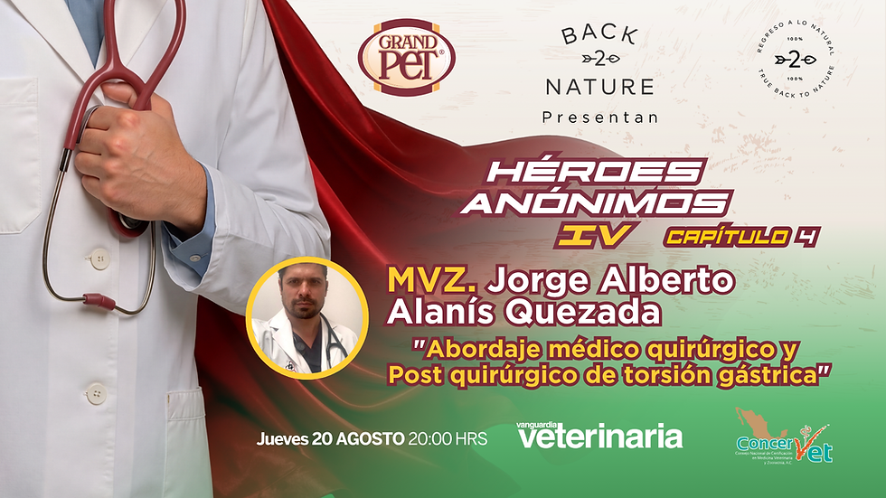 Héroes Anónimos IV Capítulo 4