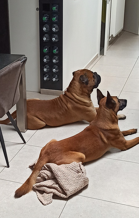 maman cuisine.jpg