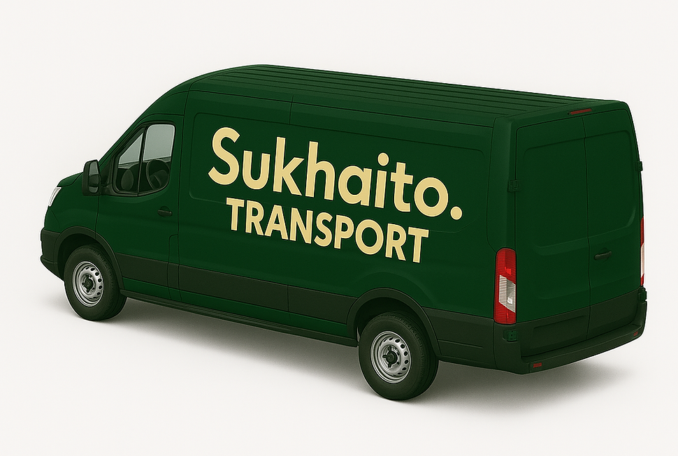 Ford Transit, entreprise de transport