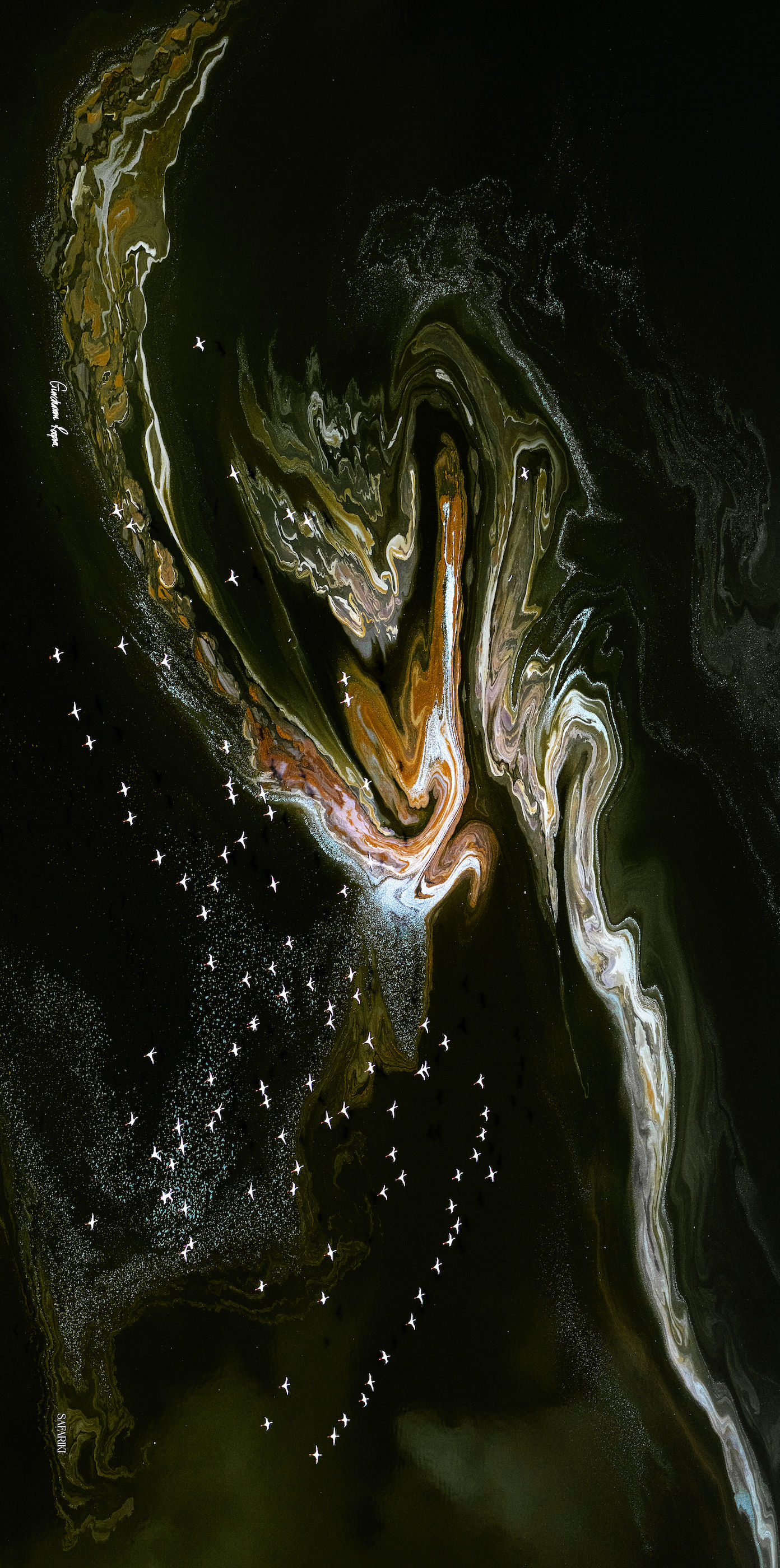 Magadi Flight Cashmere Modal