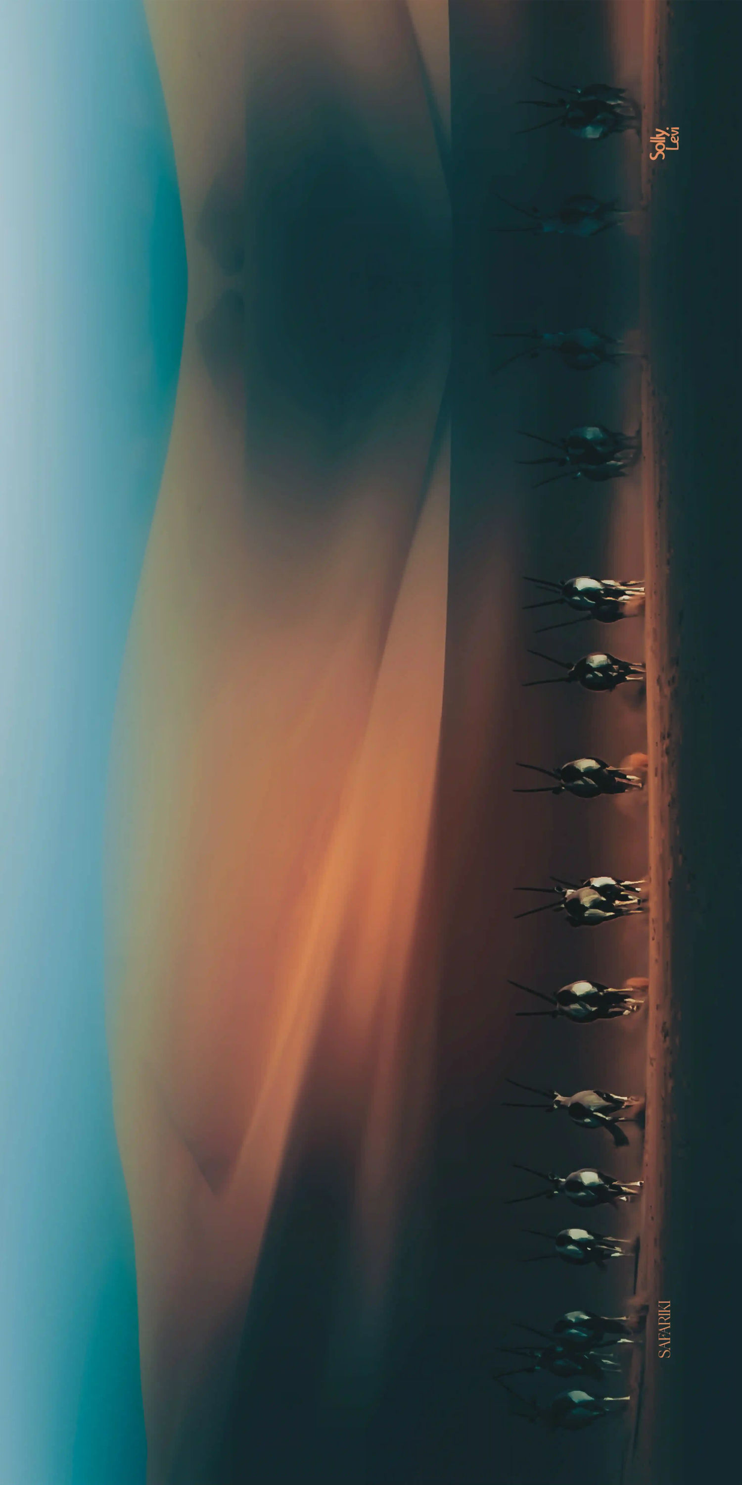 Oryx Dunes