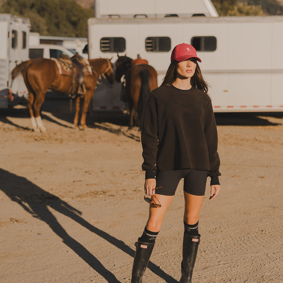 Thumbnail: RODEO SHERPA FLEECE Wool Sweater in Brown and Black