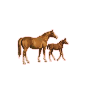 Chestnut Mare and Foal.gif