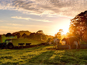 Case Study: Succession Planning & Executive Search Ease $100M Family Agribusiness Transition to First Non-Family CEO