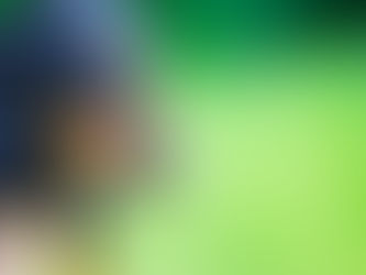 Dog Aggression in a Miniature Dachshund