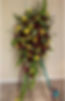 IMG_6663.JPEG
