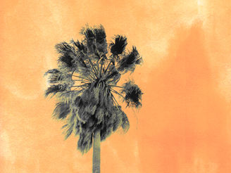 2021.0515 制作の音