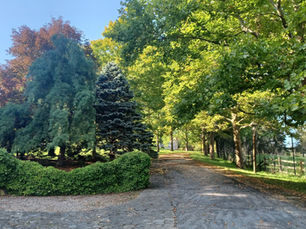 The Teachings of Compassion and Wisdom Gather at Kongshan: A Kongshan Temple Anecdote (Part 2)