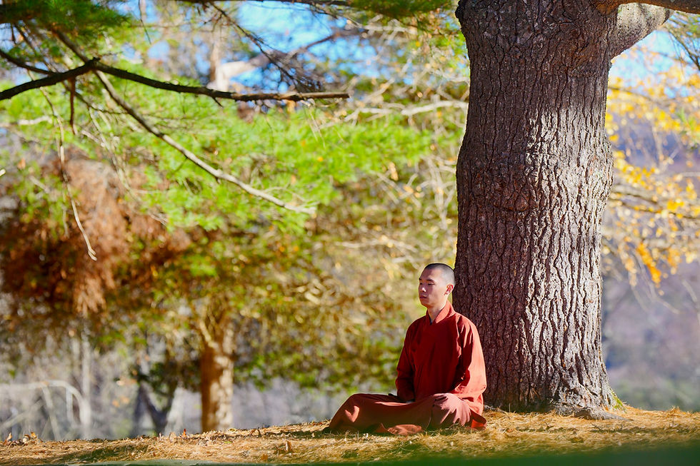 Supporting Kongshan Monastery 【Evergreen Field of Merit · Sustaining the Sangha's Path】