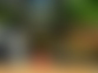 Seeking a Pure Land: A Kongshan Temple Anecdote (Part 4)