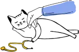 Illustration of a cat getting pet by its vet