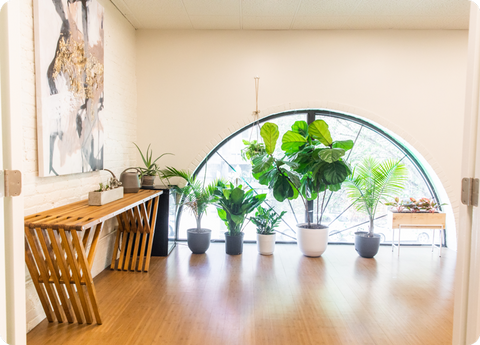 GreenCircleWellness_Image3.png
